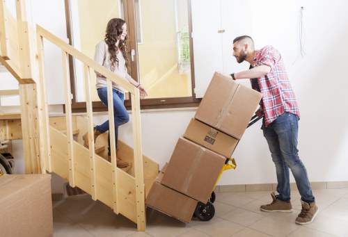 Organized relocation boxes prepared by movers in Harringay